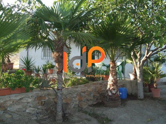Vista exterior de Casa o xalet en venda en Benizalón amb Terrassa