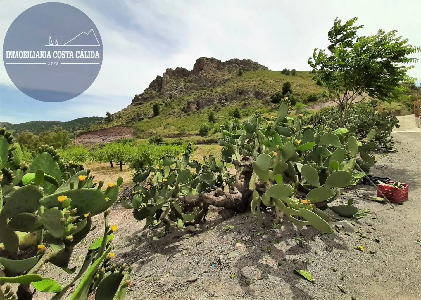 Finca rústica en venda en Águilas amb Jardí privat, Terrassa i Traster