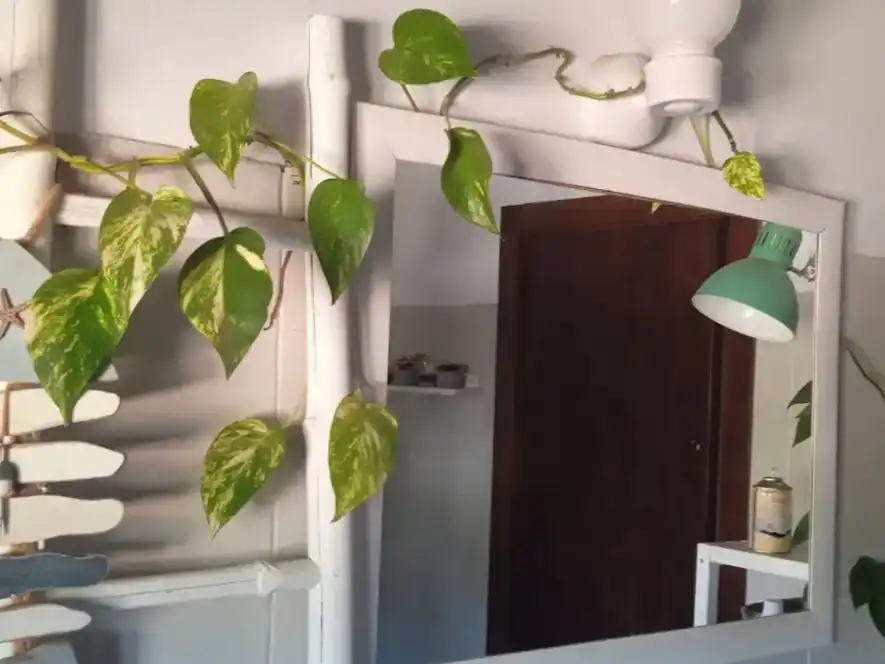 Terrassa de Finca rústica en venda en Lepe