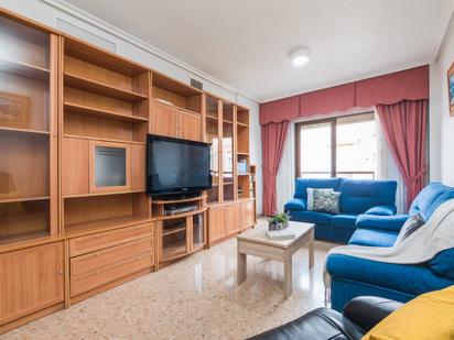 Living room of Flat for sale in Elche / Elx  with Air Conditioner, Furnished and Oven