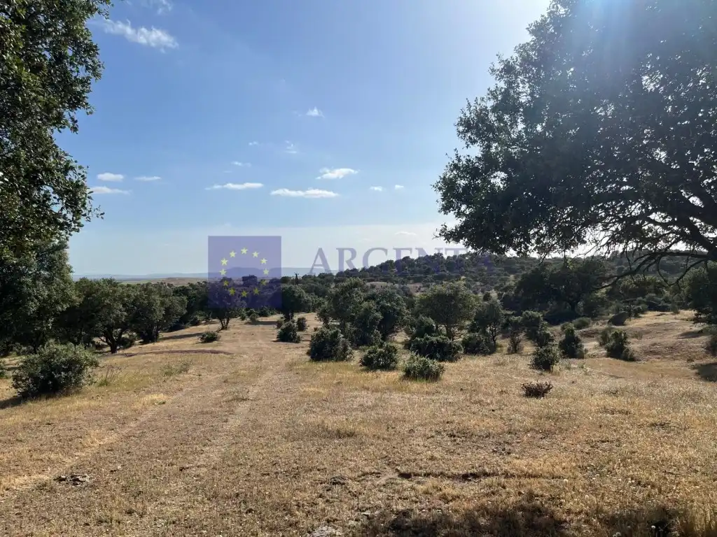 Houses for sale in Poligono 19 Paraje 668 Marrada De La Sociedad, Estación Arroyo Malpartida