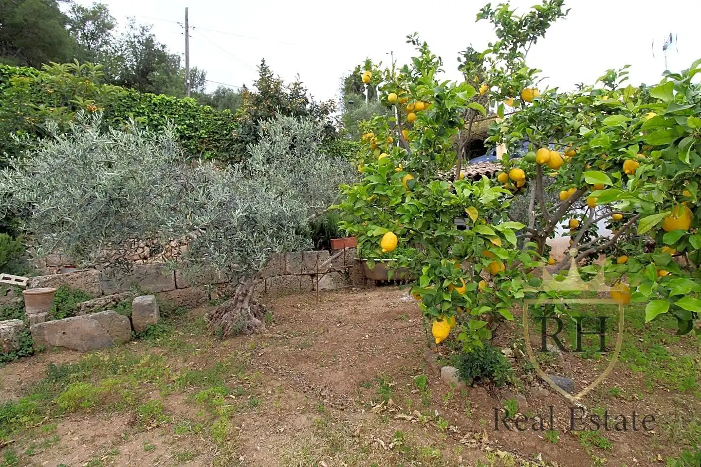 Jardí de Casa o xalet en venda en Pollença amb Aire condicionat, Jardí privat i Terrassa