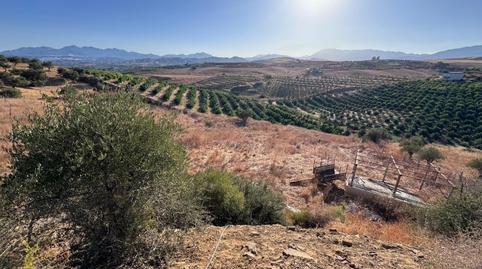 Foto 3 de Apartamento de alquiler en Martiricos - La Roca - La Rosaleda, Málaga Capital