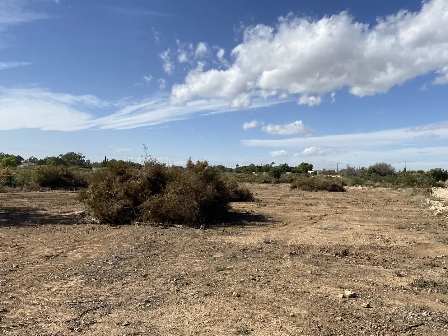 Land for sale in Elche / Elx