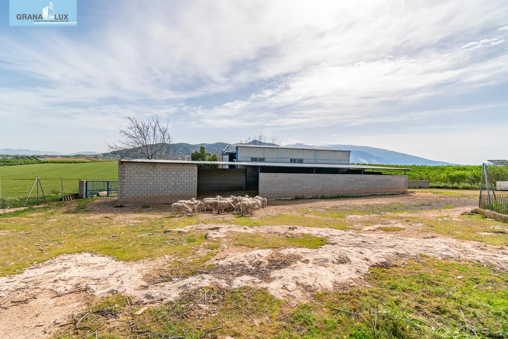Rural land for sale in 18640, imagen 49