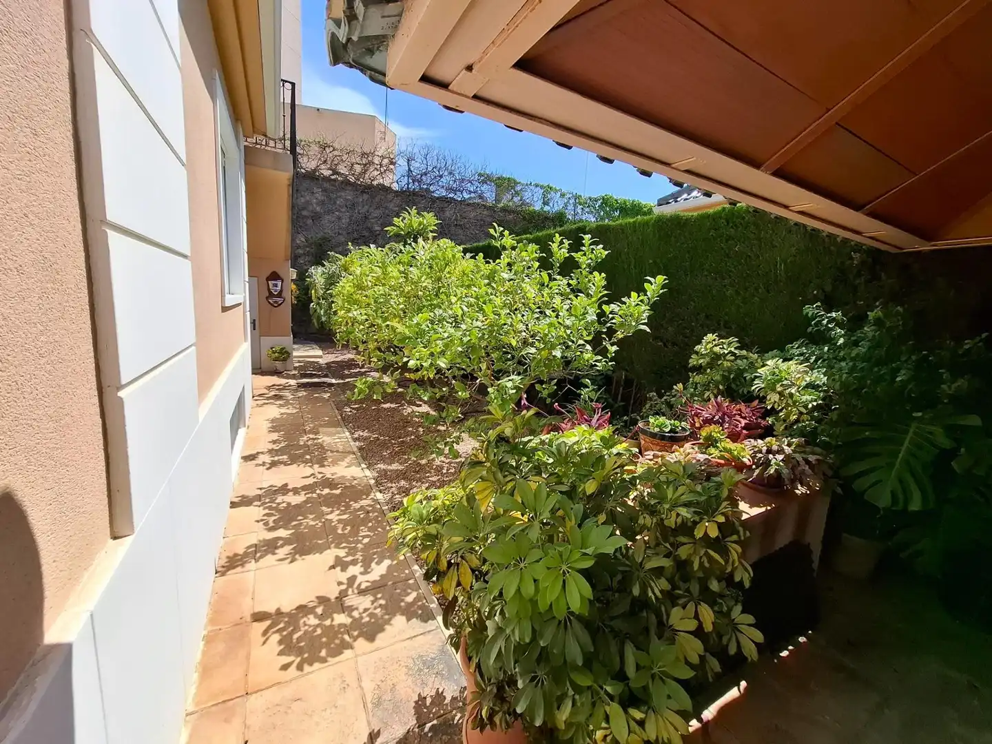 Jardín de Casa o chalet en venta en Elche / Elx con Calefacción, Jardín privado y Terraza
