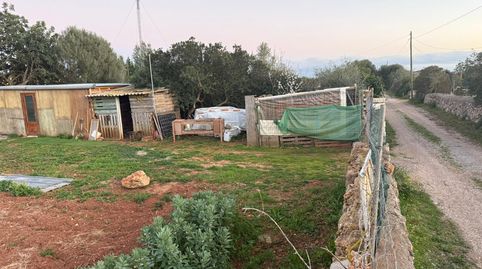 Foto 4 de Terreno en venta en Carretera Manacor-porto Cristo, Km 2., S'Illot - Cala Morlanda, Manacor