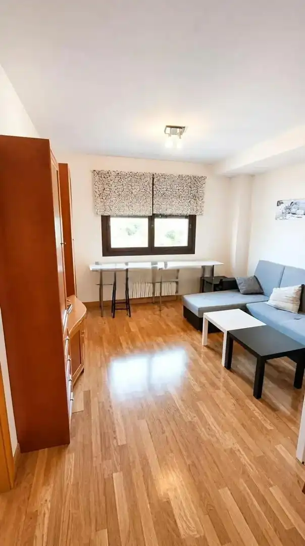 Sala d'estar de Apartament de lloguer en Granada amb Aire condicionat, Calefacció i Moblat