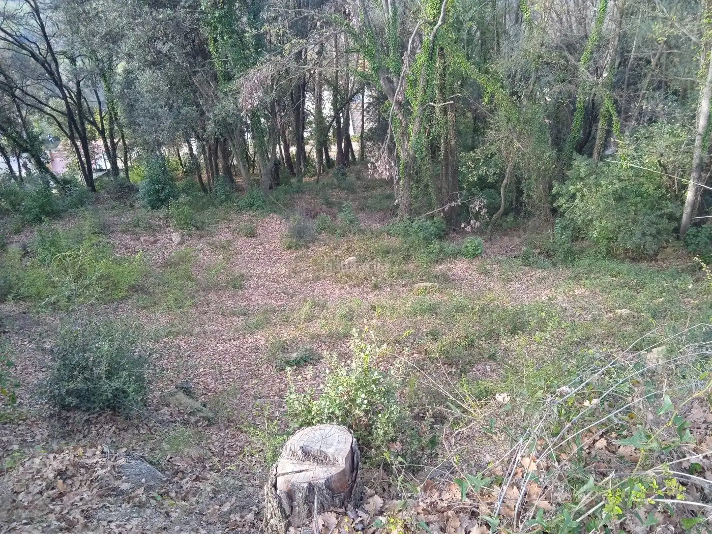 Residential land for sale in Avinguda Catalunya 29, imagen 4