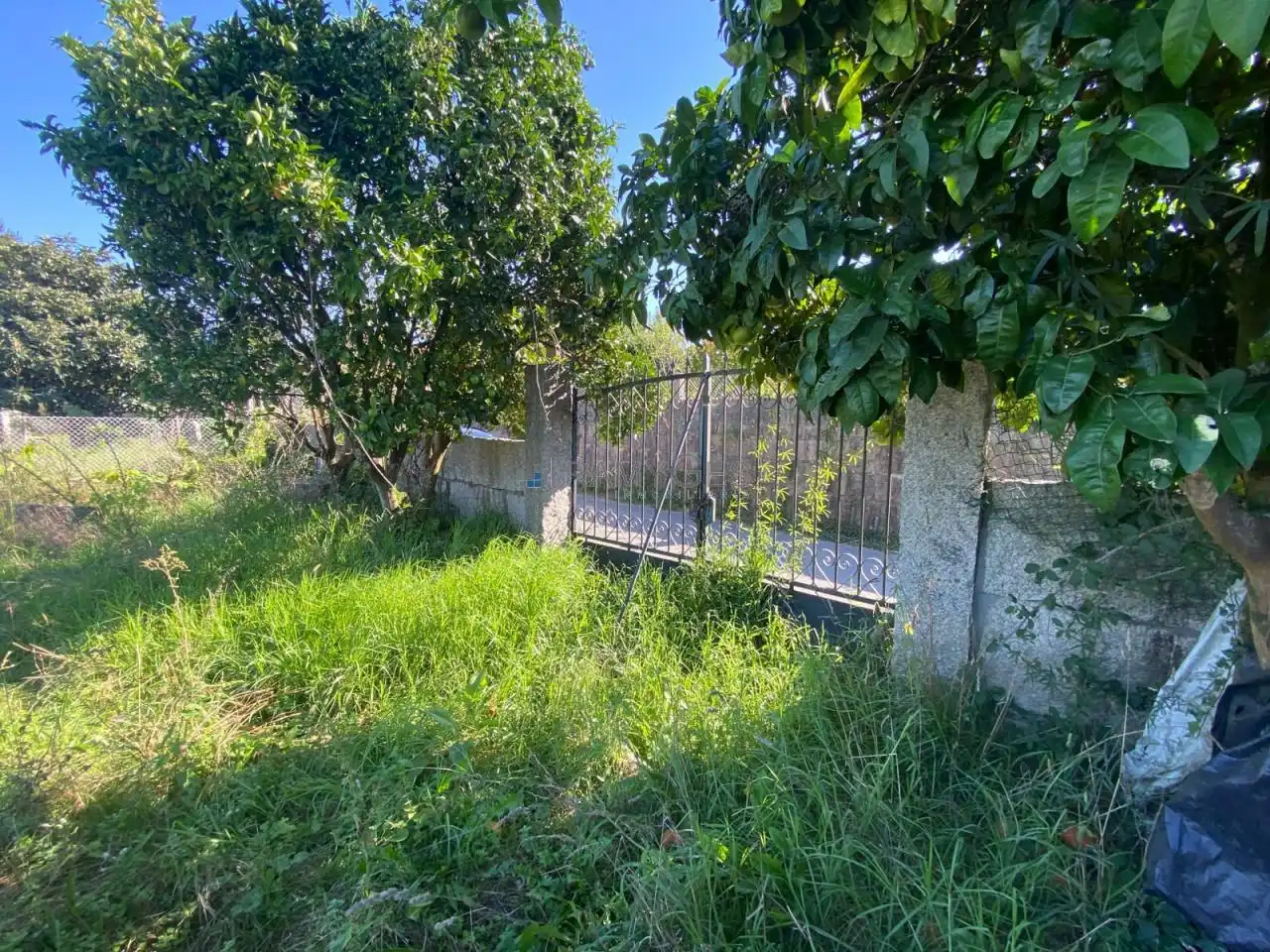 Terrain rustique à vendre à Tomiño, imagen 10