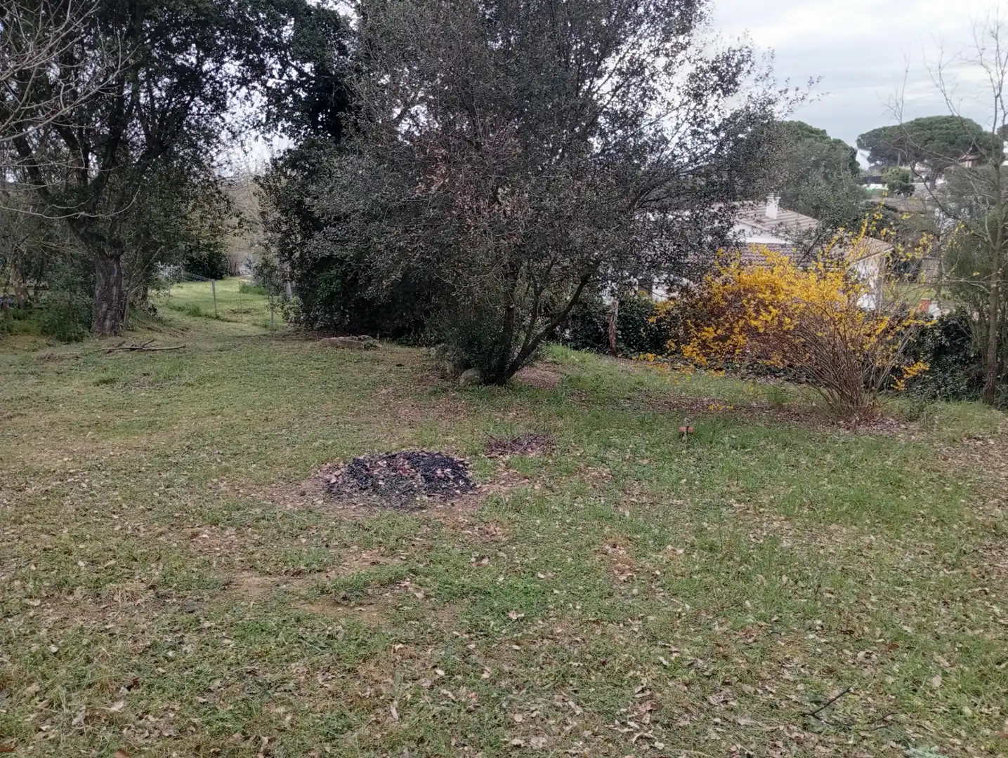 Terreno residencial en venta en Carrer Tramuntana 13, imagen 6
