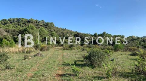 Photo 5 of Residential for sale in Polígono S'heretat, Capdepera Poble, Illes Balears