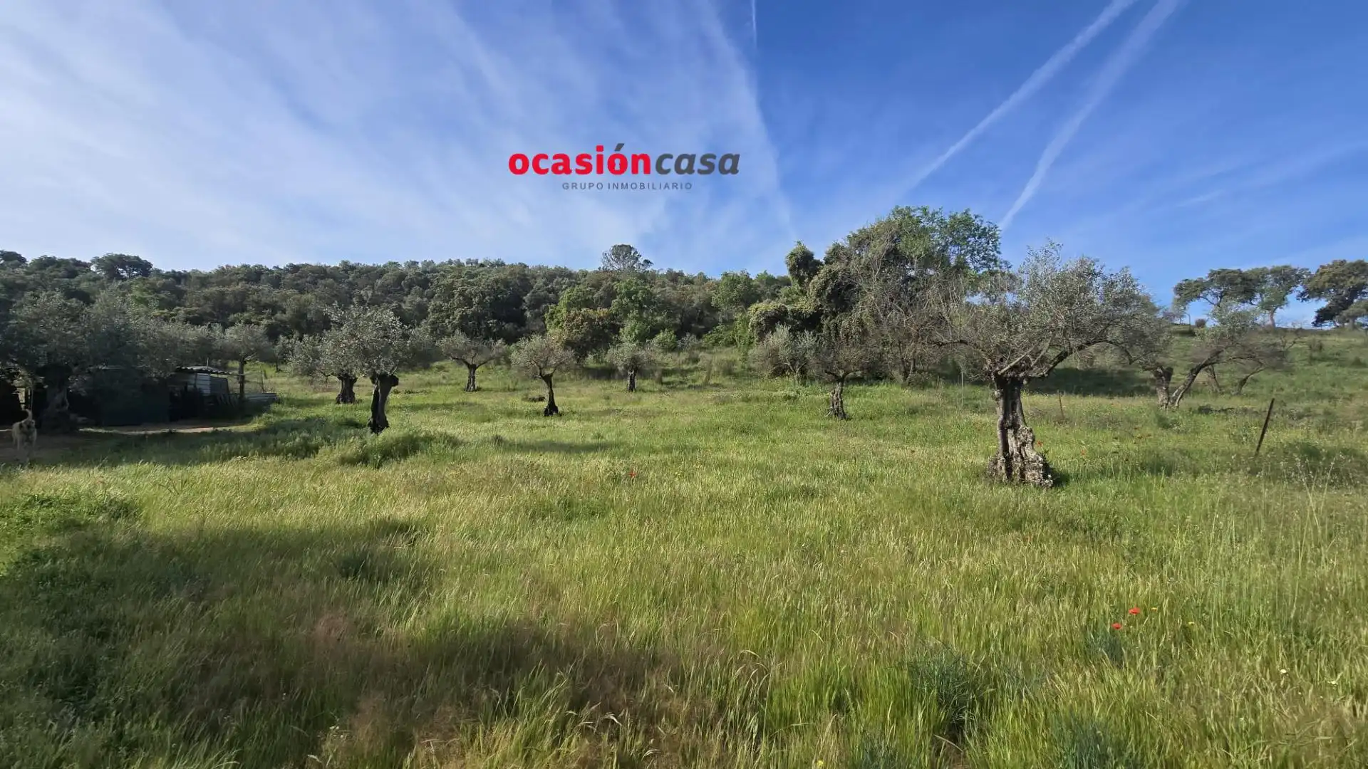 Casa in vendita a Belmez