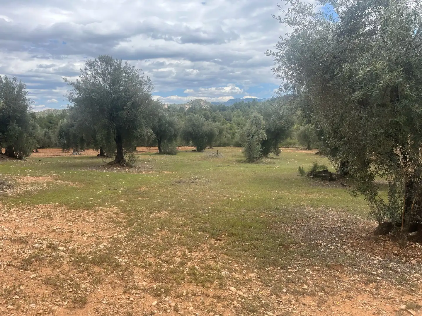 Terreni e lotti in vendita a Cretas, imagen 3