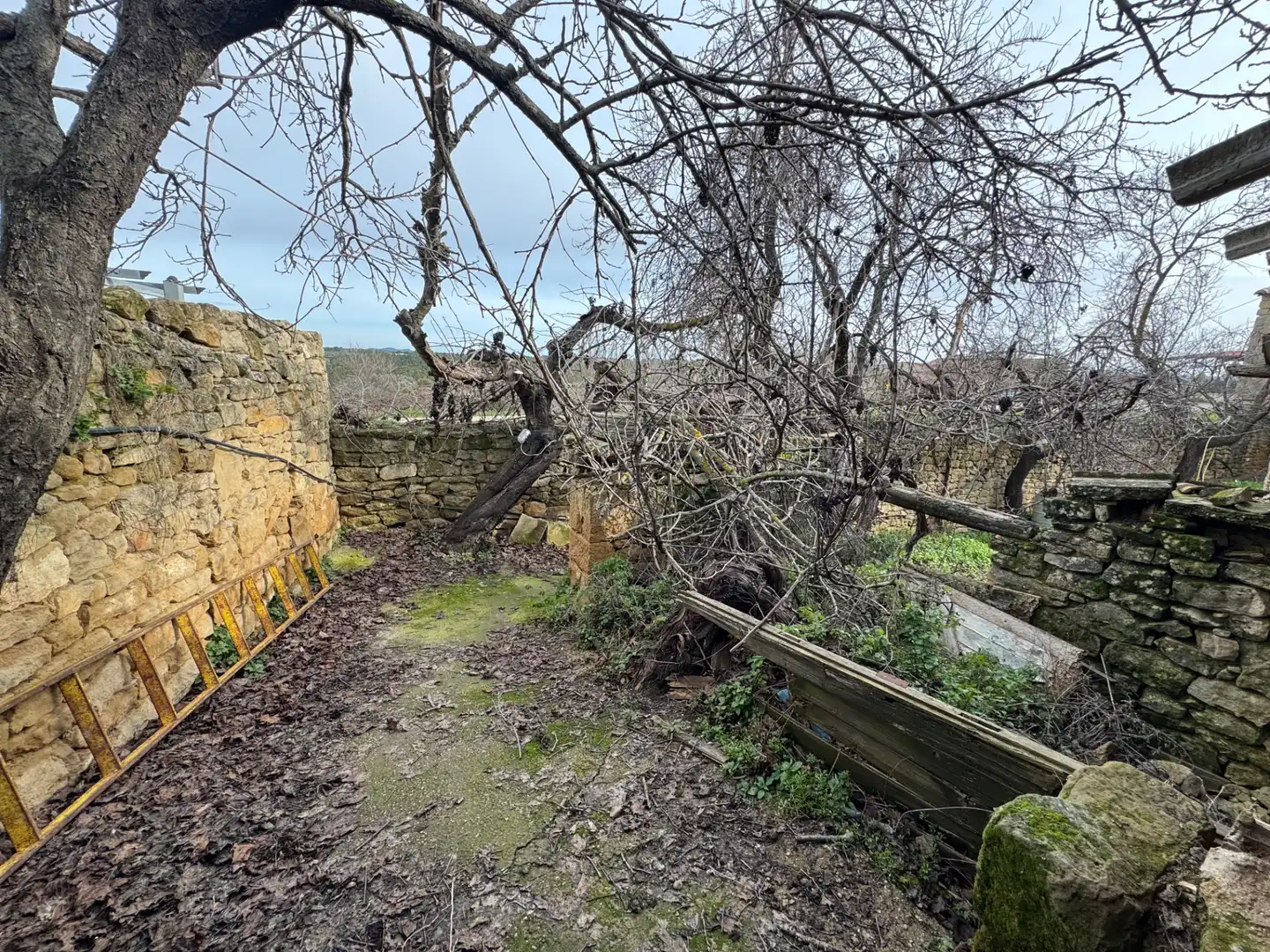 Finca rústica en venda en Torre del Compte amb Jardí privat