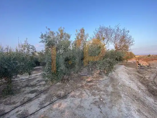 Terrenys i solars en venda a Huércal-Overa, imagen 14