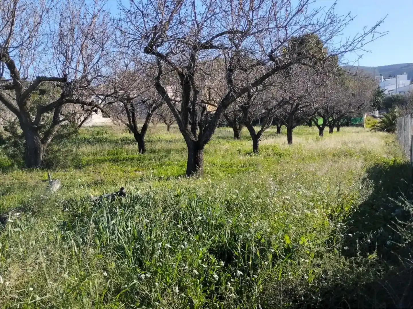 Land for sale in Gata de Gorgos, Alicante