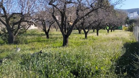 Foto 3 de Terreno en venta en De Gaia, 3, Gata de Gorgos, Alicante