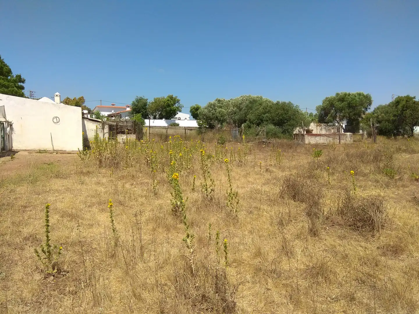 Terrain rustique à vendre à Vejer, imagen 18