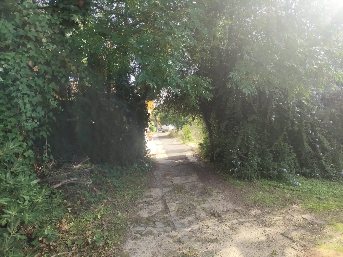 Casa o chalet en venta en Calle Arroyo Zorrero, Palomares del Río