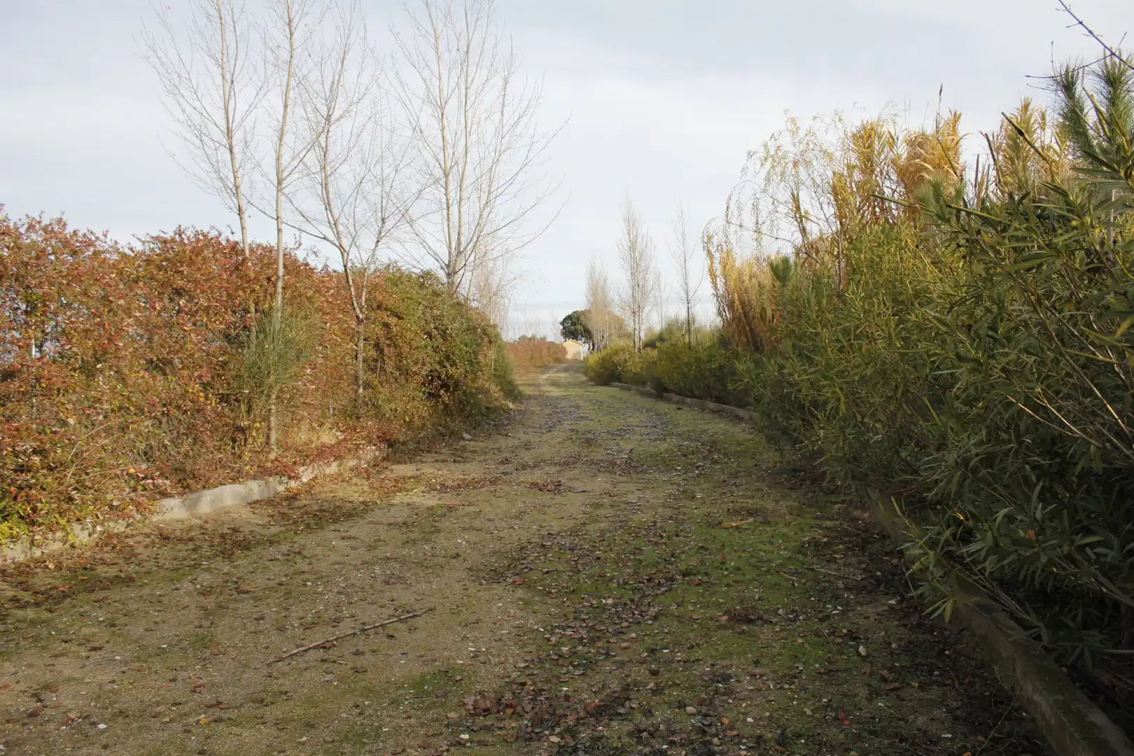 Grundstücke zum Verkauf in Coslada