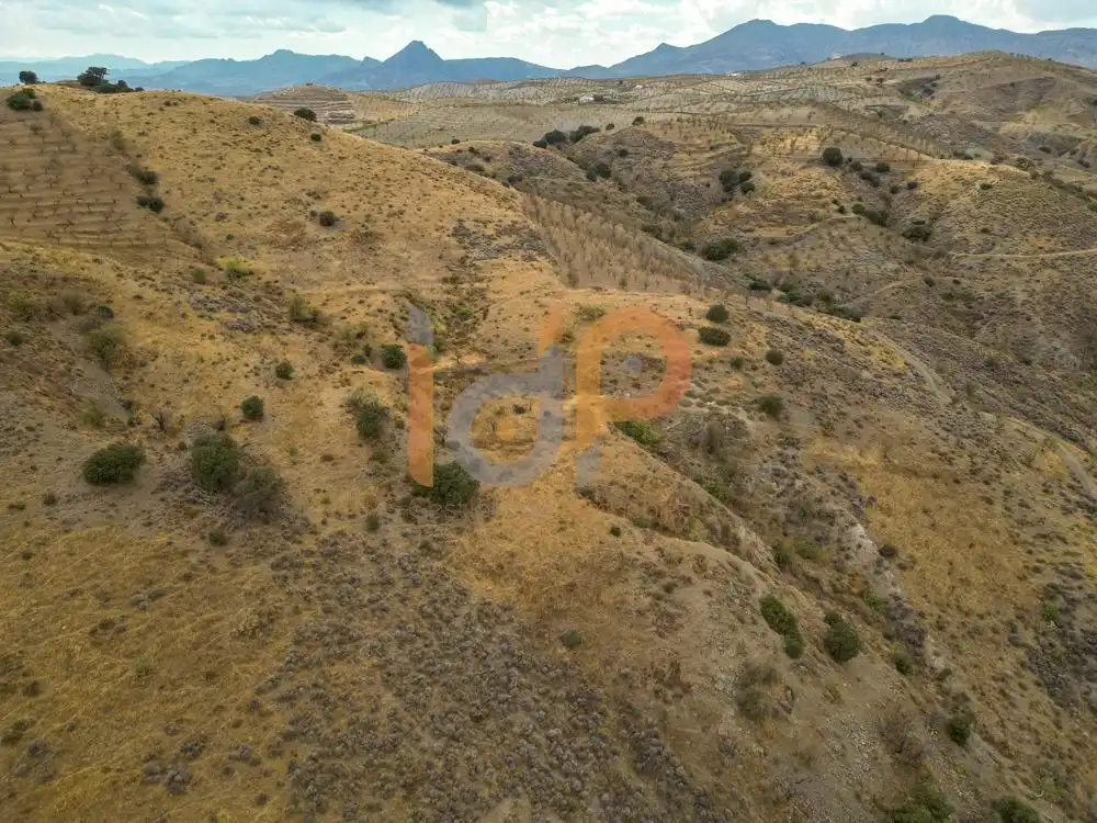 Terreny rústic en venda a Albox, imagen 3