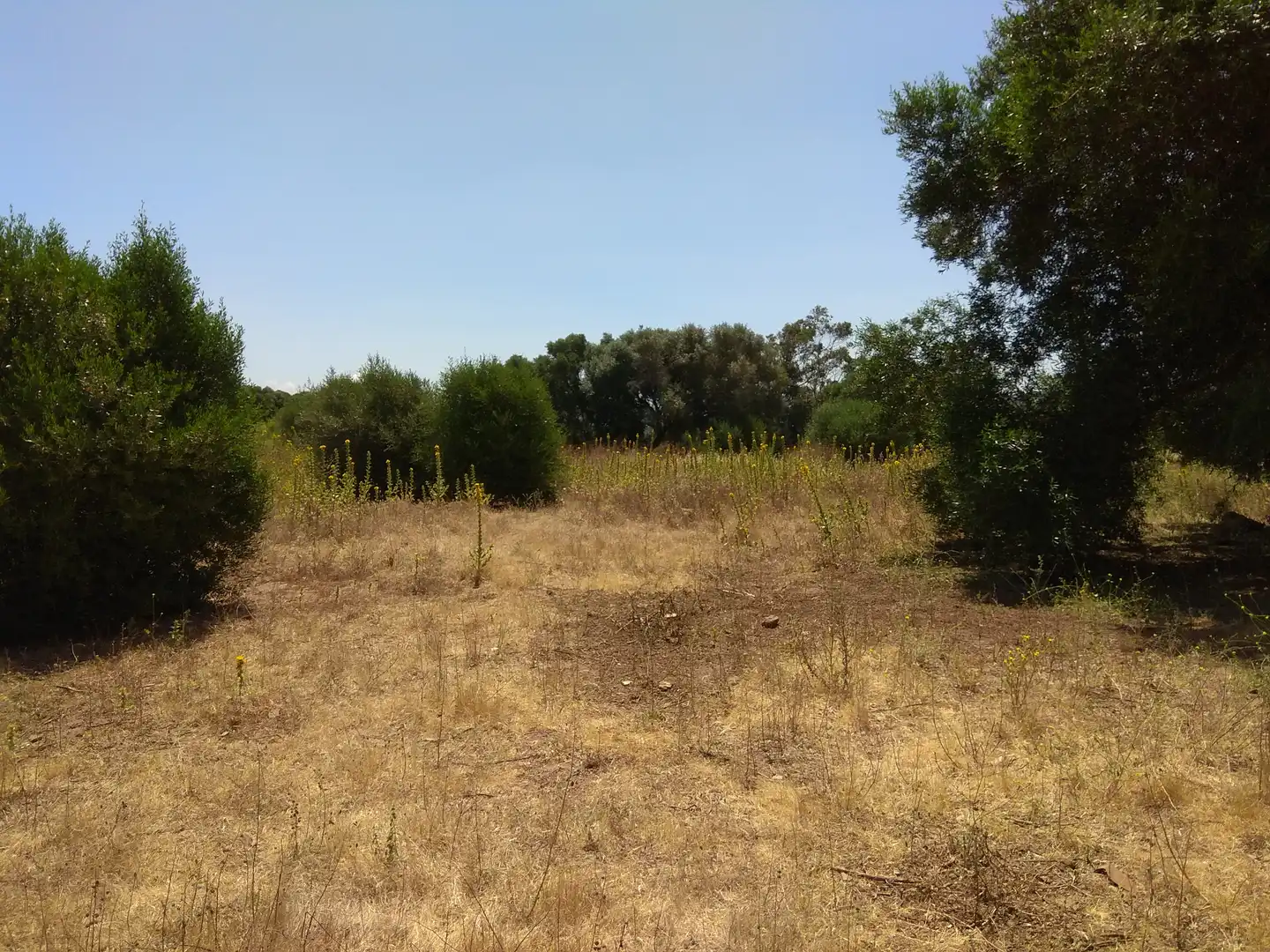 Terreno rustico in vendita a San Bernabé, imagen 13