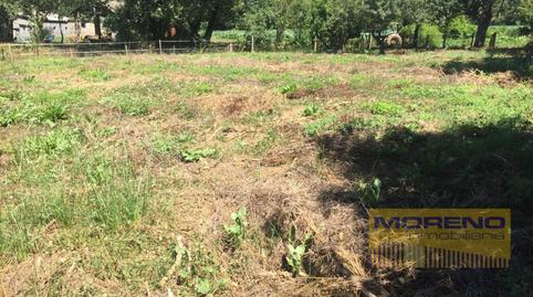 Foto 5 de Finca rústica en venta en Sarria, Lugo