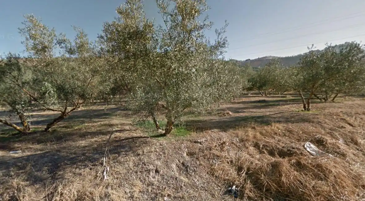 Rural land for sale in Atarfe