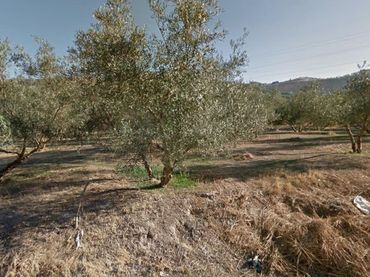 Terreno rustico in vendita a Sierra Elvira
