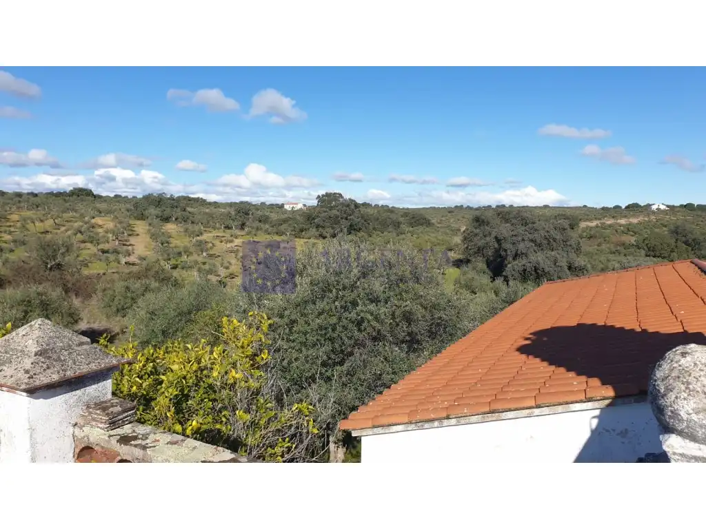 Houses for sale in Diseminados S Miguel, Alcántara
