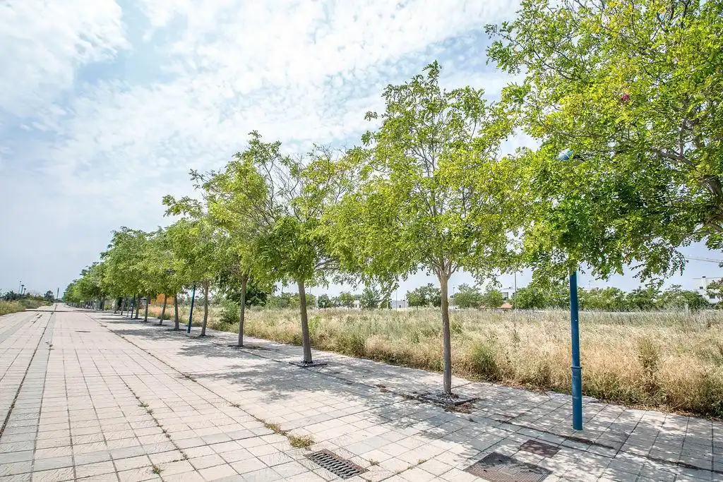 Terreno residencial en venta en Calle José María Azcona, imagen 6