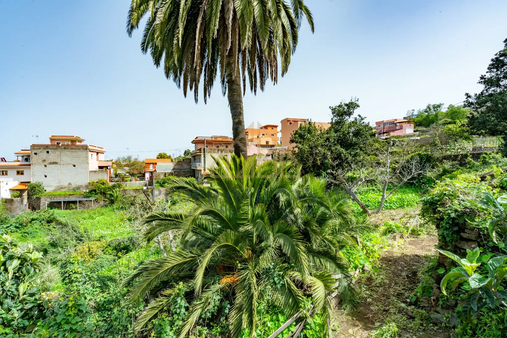 Jardí de Finca rústica en venda en La Victoria de Acentejo