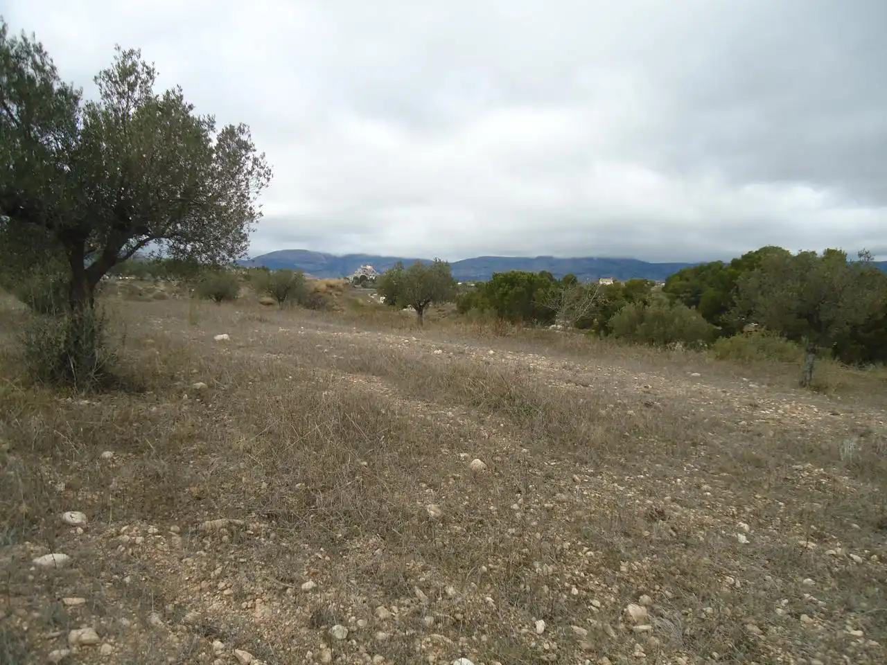 Terrenys i solars en venda a Castalla, imagen 8