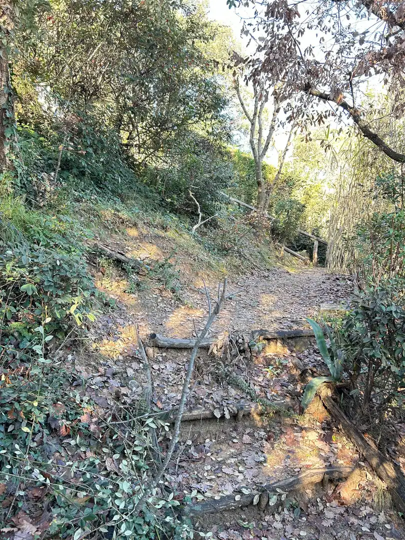 Casa o chalet en venta en Santa Coloma de Farners con Calefacción, Jardín privado y Terraza