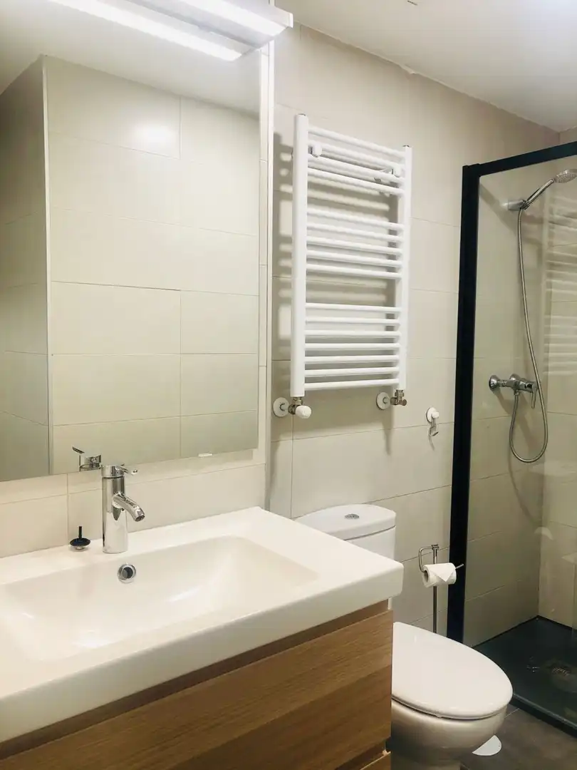 Bathroom of Study for sale in Madrid  with Air Conditioner, Heating and Furnished