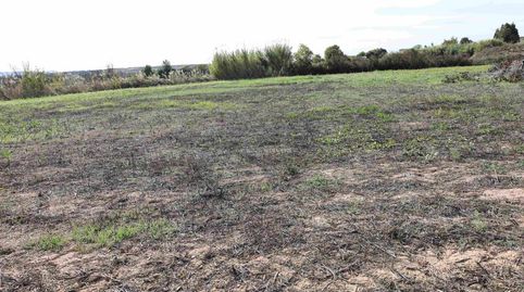 TERRENO EN VENTA EN ALCAÑIZ. Ref.TR10202025, immagine 4