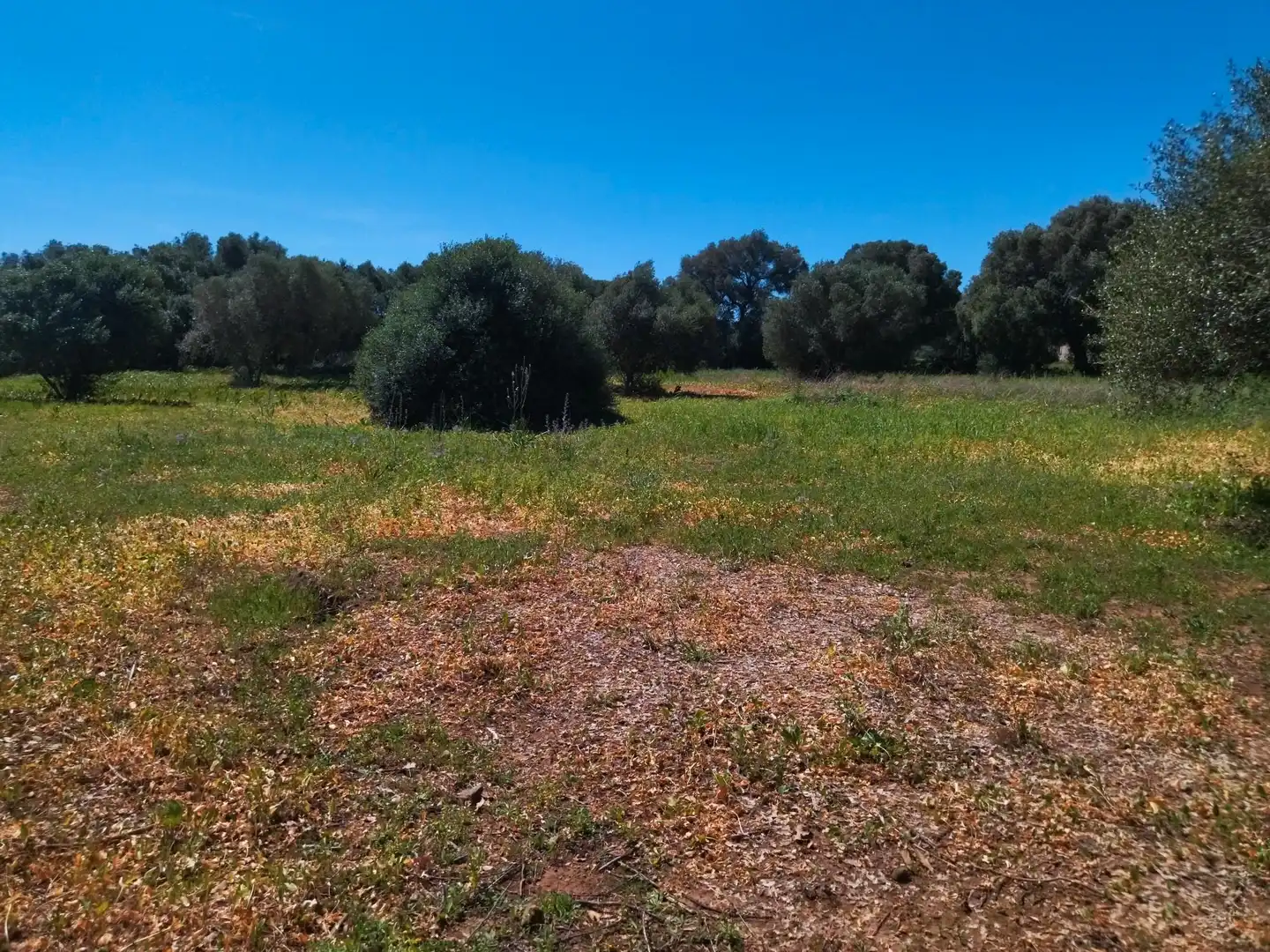 Casa rústica amb jardí en venda a N/A, imagen 22