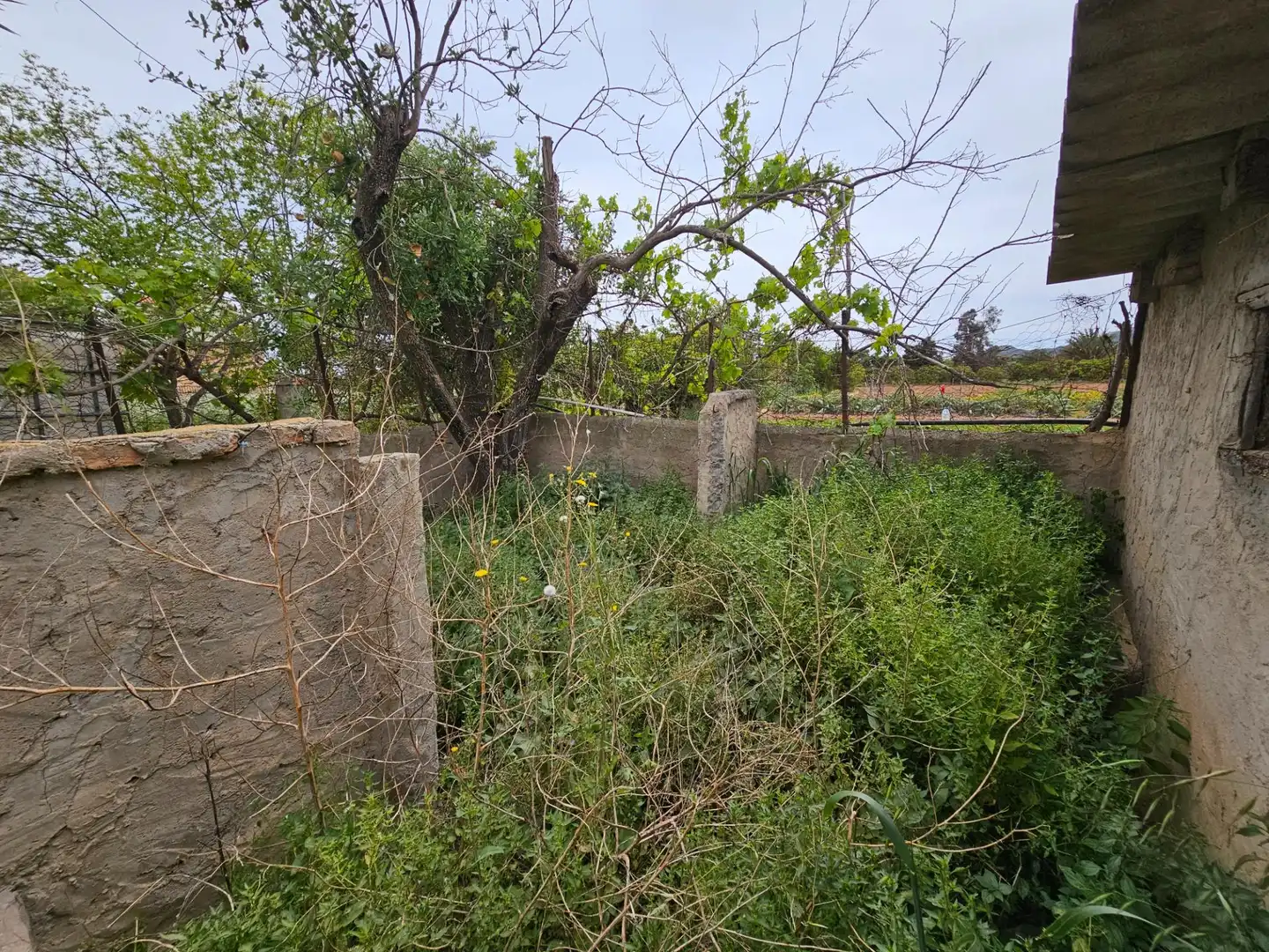 Landhaus zum Verkauf in Eucaliptus- Poble Nou del Delta, imagen 34