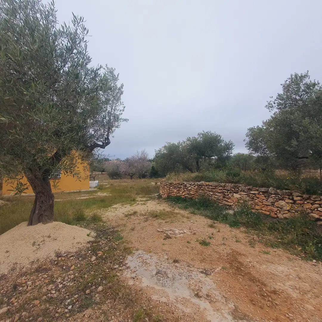 Terrain rustique à vendre à L'Aldea, imagen 6