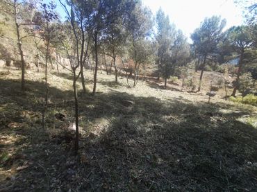 Terreno residenziale in vendita a Seva