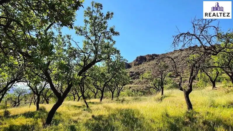 Rural land for sale in Felix, imagen 23