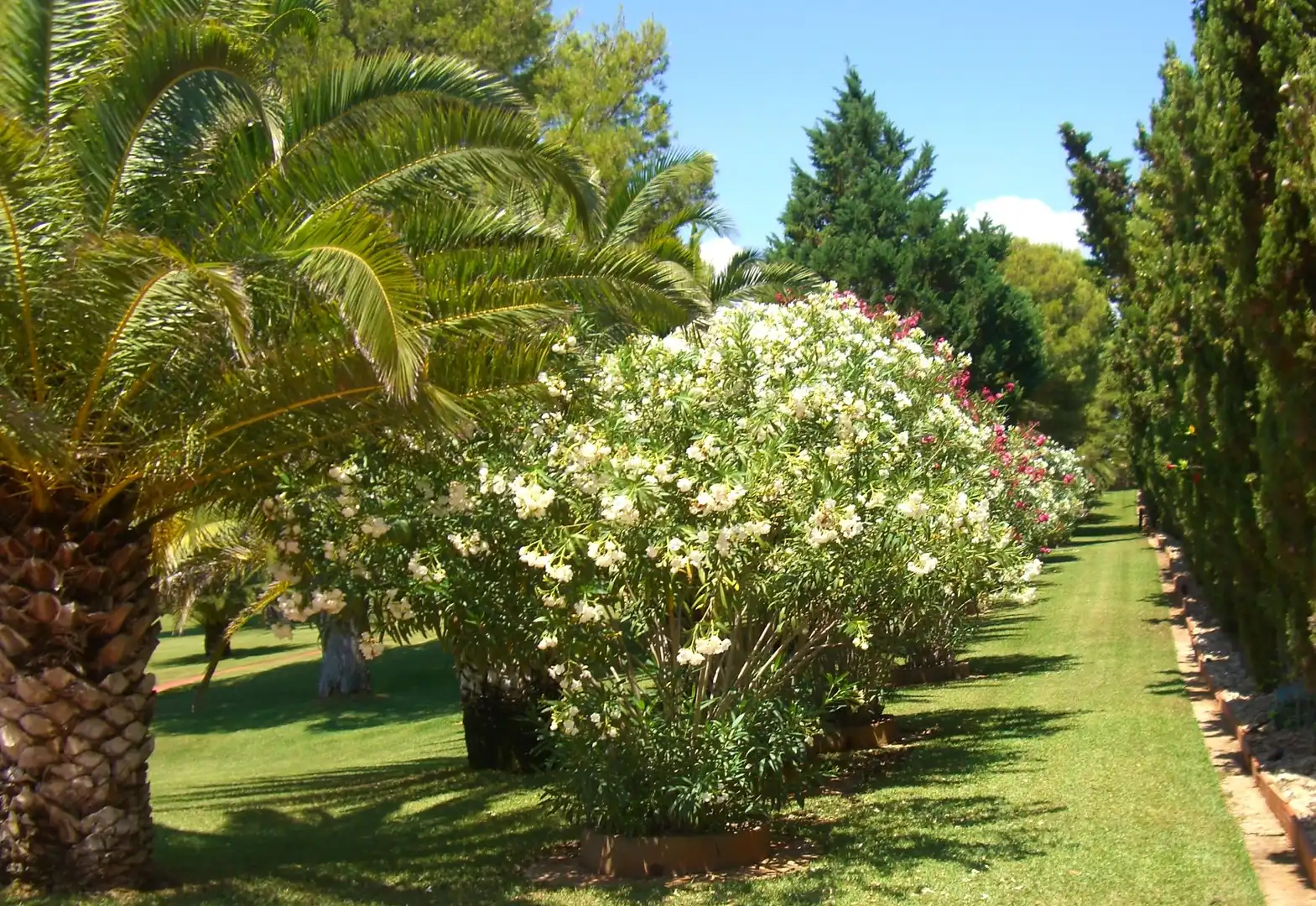 Jardí de Casa o xalet en venda en Alcalà de Xivert amb Calefacció, Jardí privat i Piscina