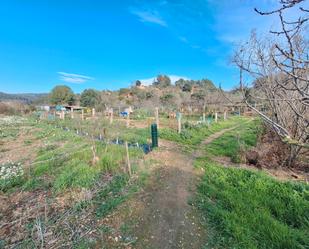 Land for sale in Molins de Rei