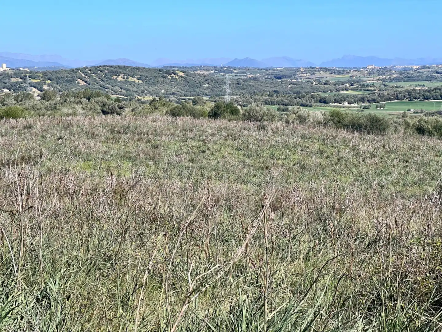 Finca rústica en venta en Petra