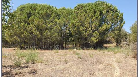 Photo 2 of Country house for sale in 7, S/n, Selva, Illes Balears