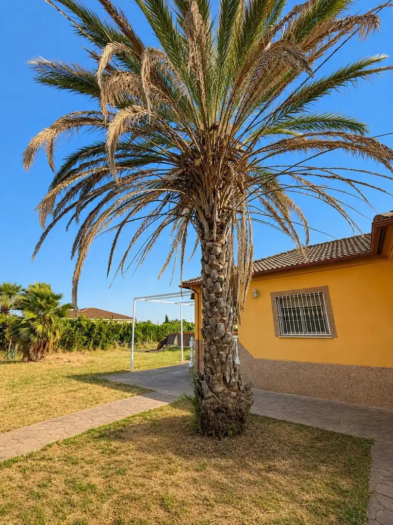 Vista exterior de Finca rústica en venda en Córdoba