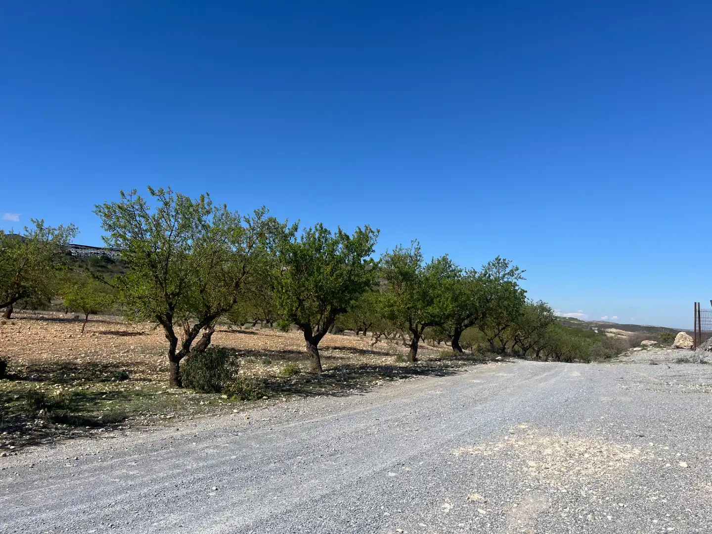 Rustikales Grundstück zum Verkauf in Avenida de Andalucía, imagen 8