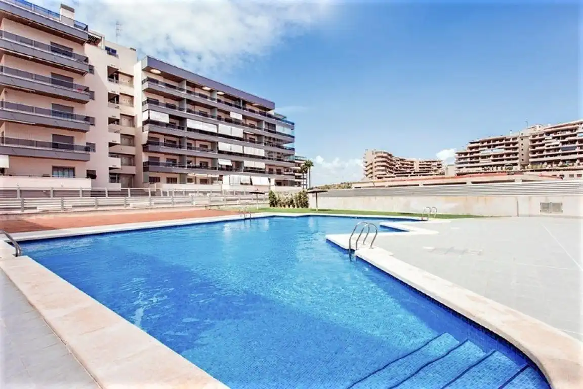 Swimming pool of Apartments for sale in Elche / Elx  with Air Conditioner, Heating and Private garden