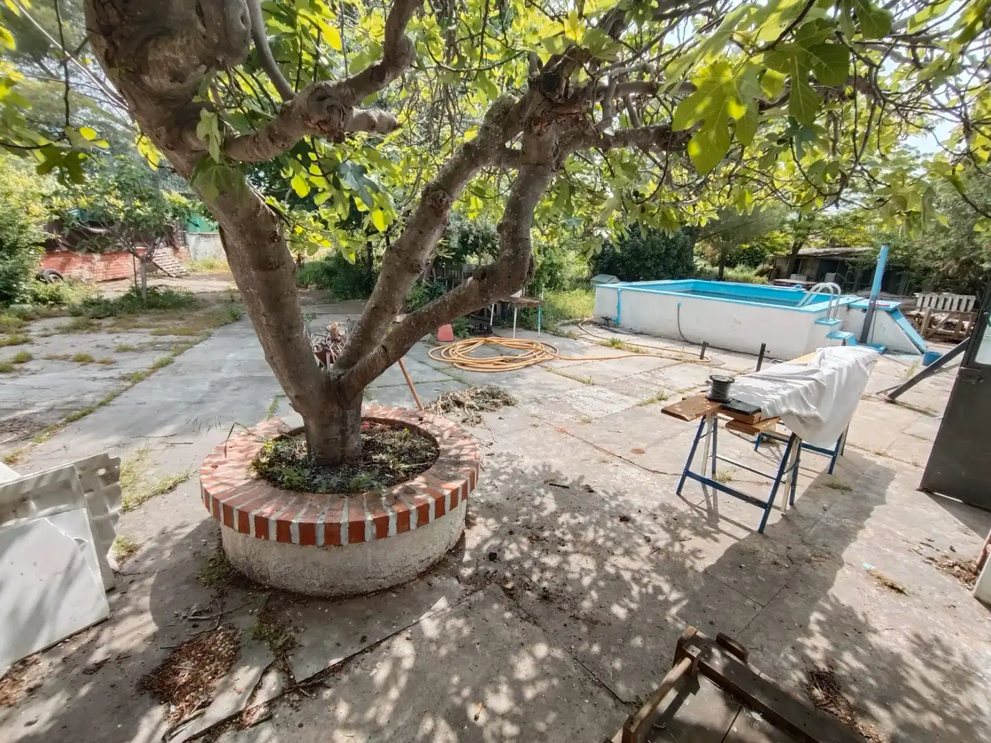 Terreno rustico in vendita a Diseminado C 302 Cr, imagen 11